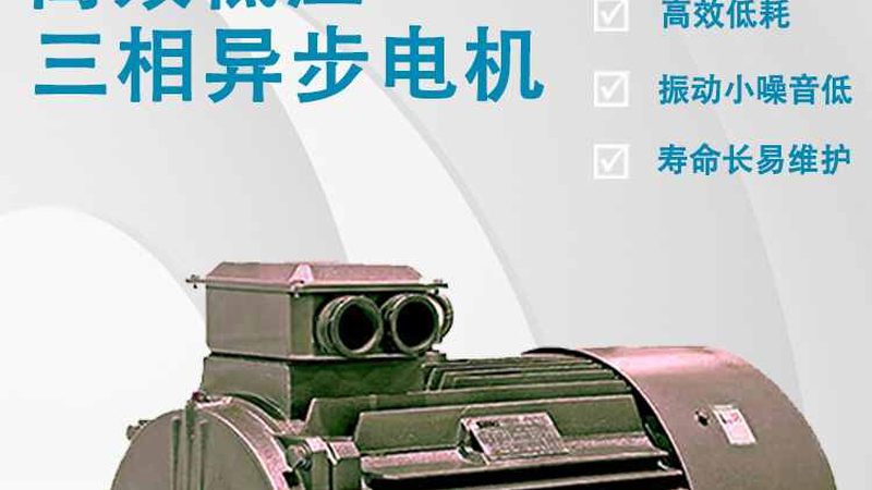 解码浙江电机厂家资质要求：合规之路揭秘